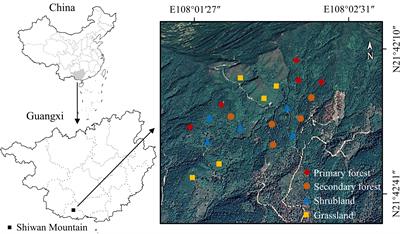 Responses of carbon, nitrogen, and phosphorus contents and stoichiometry in soil and fine roots to natural vegetation restoration in a tropical mountainous area, Southern China